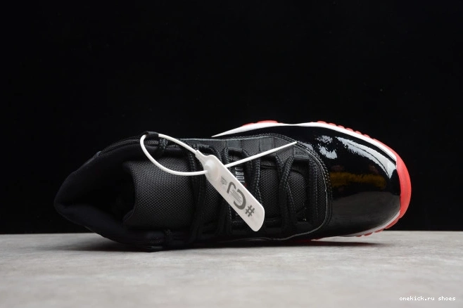 Rep Air 11 378037-061 Jordan Bred(2019) 0805